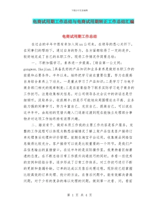 电商试用期工作总结与电商试用期转正工作总结汇编