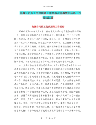电器公司员工的试用期工作总结与电器售后年终工作总结汇编