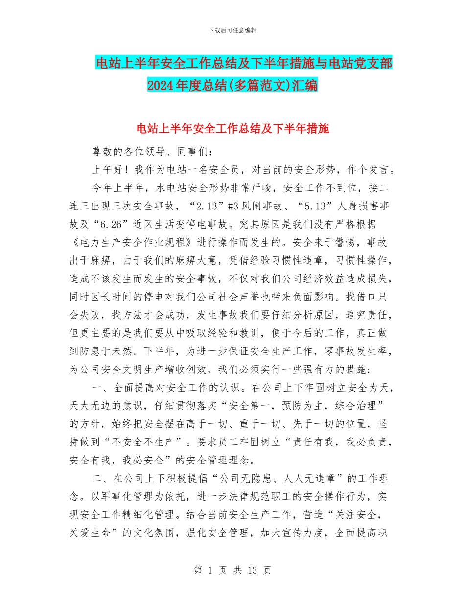 电站上半年安全工作总结及下半年措施与电站党支部2024年度总结汇编_第1页