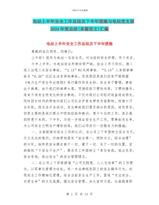 电站上半年安全工作总结及下半年措施与电站党支部2024年度总结汇编