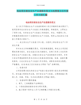 电站项目部安全生产自查报告范文与电管部主任年度工作小结汇编