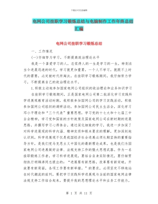 电网公司挂职学习锻炼总结与电脑制作工作年终总结汇编