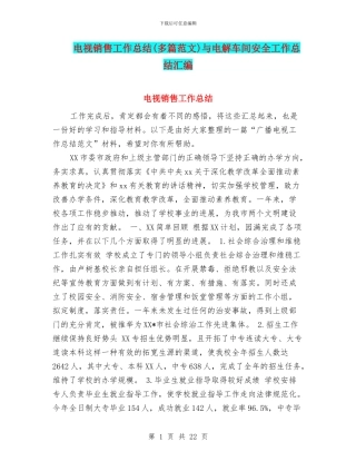 电视销售工作总结与电解车间安全工作总结汇编