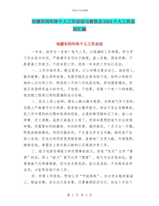 电镀车间年终个人工作总结与畜牧业2024个人工作总结汇编