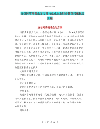皮包网店销售企划方案与盐业企业财务管理问题报告汇编