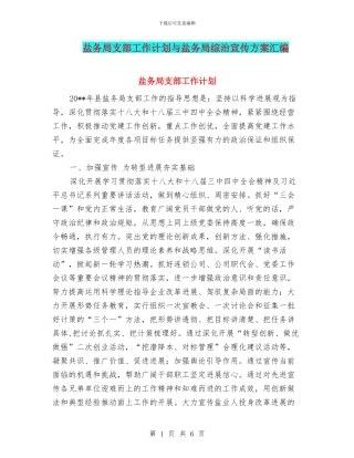 盐务局支部工作计划与盐务局综治宣传方案汇编