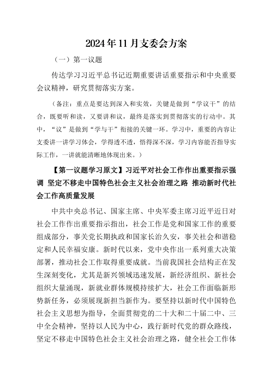 2024年11月支委会方案_第1页