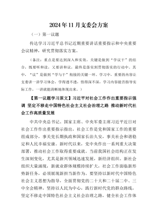 2024年11月支委会方案