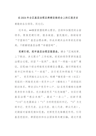 在2024年全区基层治理品牌建设推进会上的汇报发言