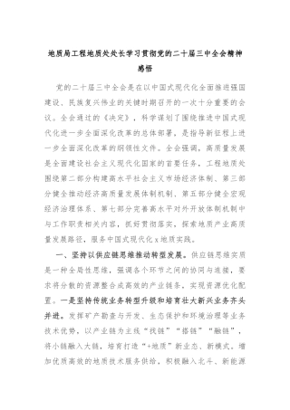 地质局工程地质处处长学习贯彻党的二十届三中全会精神感悟