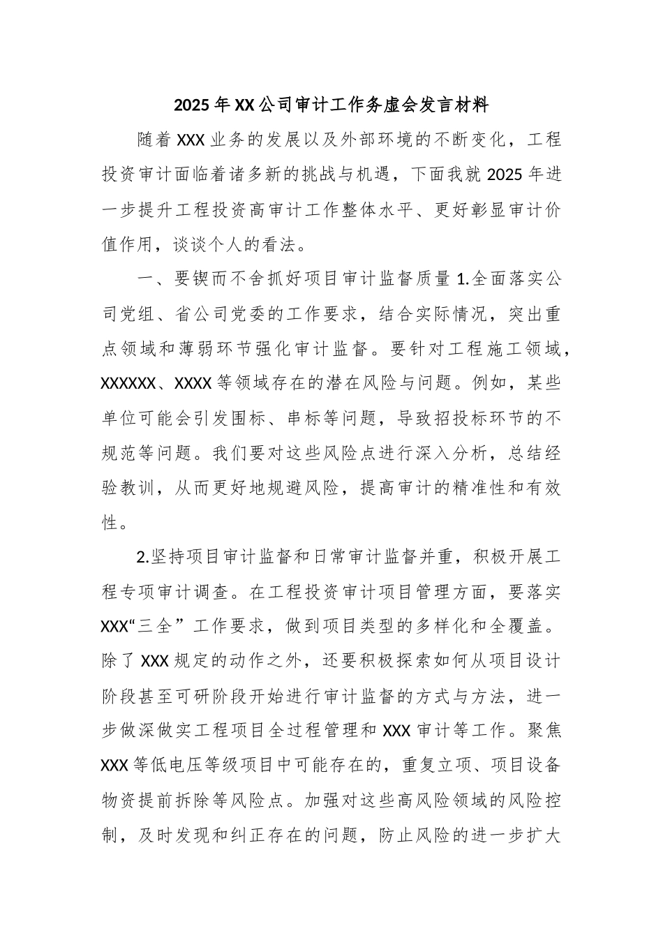 2025年XX公司审计工作务虚会发言材料_第1页