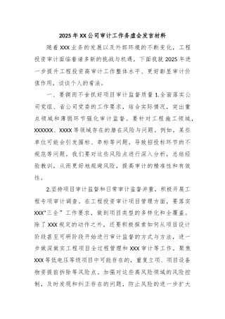 2025年XX公司审计工作务虚会发言材料