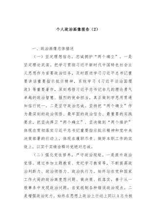 个人政治画像报告（2）