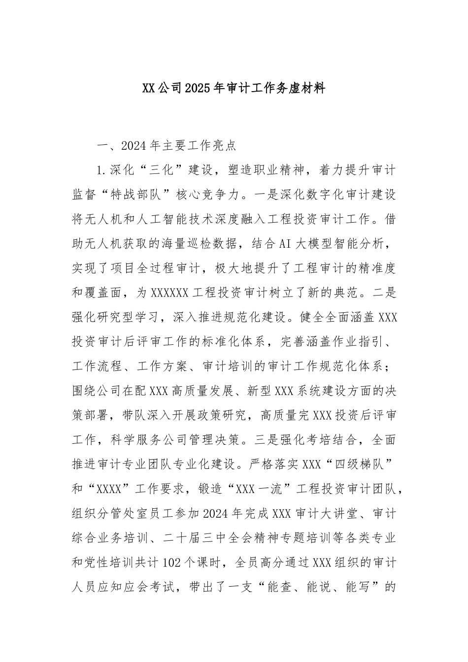 XX公司2025年审计工作务虚材料_第1页