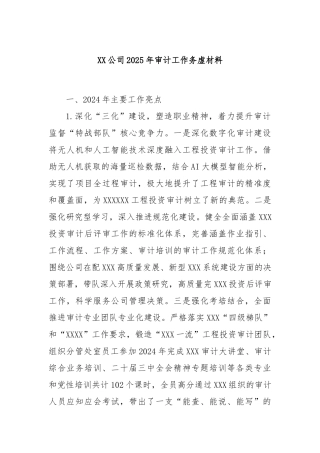 XX公司2025年审计工作务虚材料