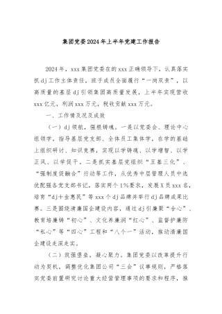 集团党委2024年上半年党建工作报告