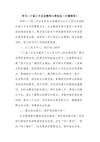 学习二十届三中全会精神心得体会（乡镇领导）
