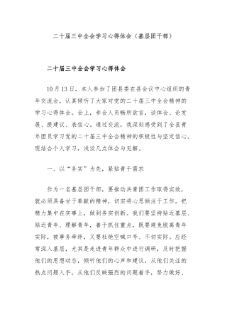二十届三中全会学习心得体会（基层团干部）