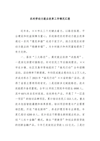 农村劳动力就业改革工作情况汇报