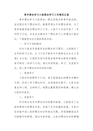 青年理论学习小组理论学习工作情况汇报