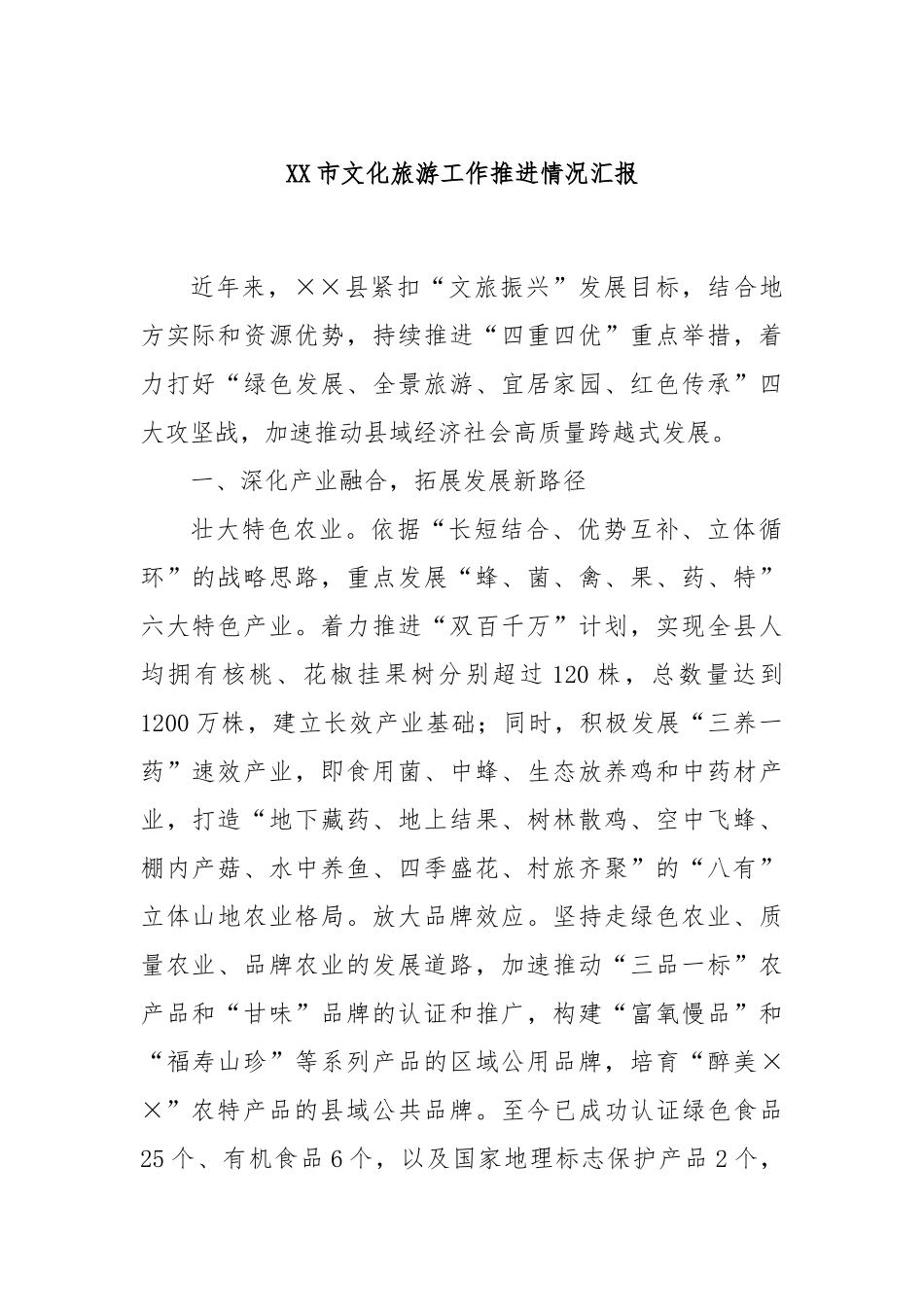 XX市文化旅游工作推进情况汇报_第1页