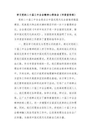 学习党的二十届三中全会精神心得体会（市委宣传部）