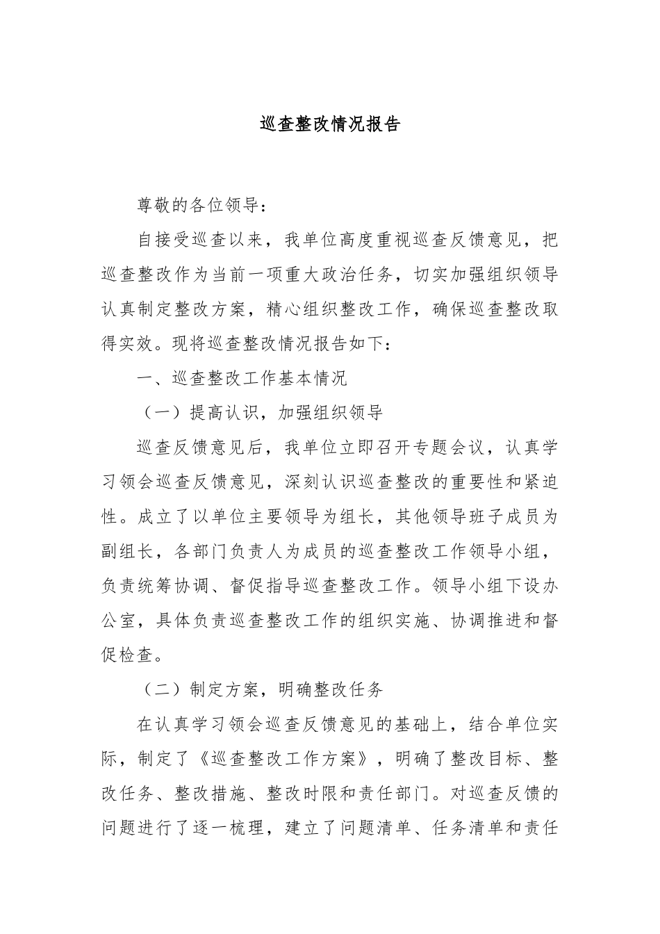 巡查整改情况报告_第1页