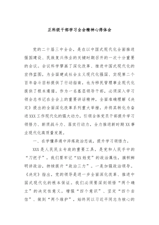 正科级干部学习全会精神心得体会