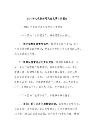 2024年文化旅游局民宿发展工作报告