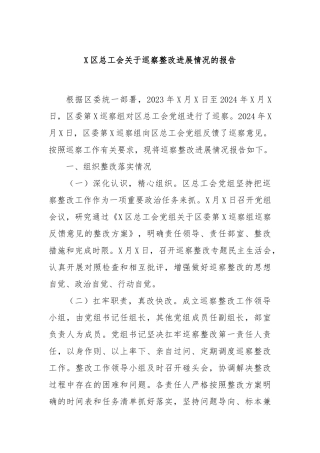 X区总工会关于巡察整改进展情况的报告