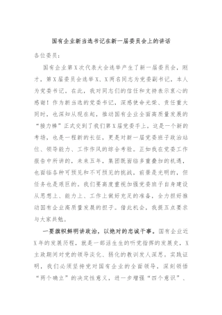 国有企业新当选书记在新一届委员会上的讲话