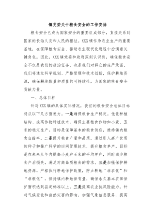 镇党委关于粮食安全的工作安排