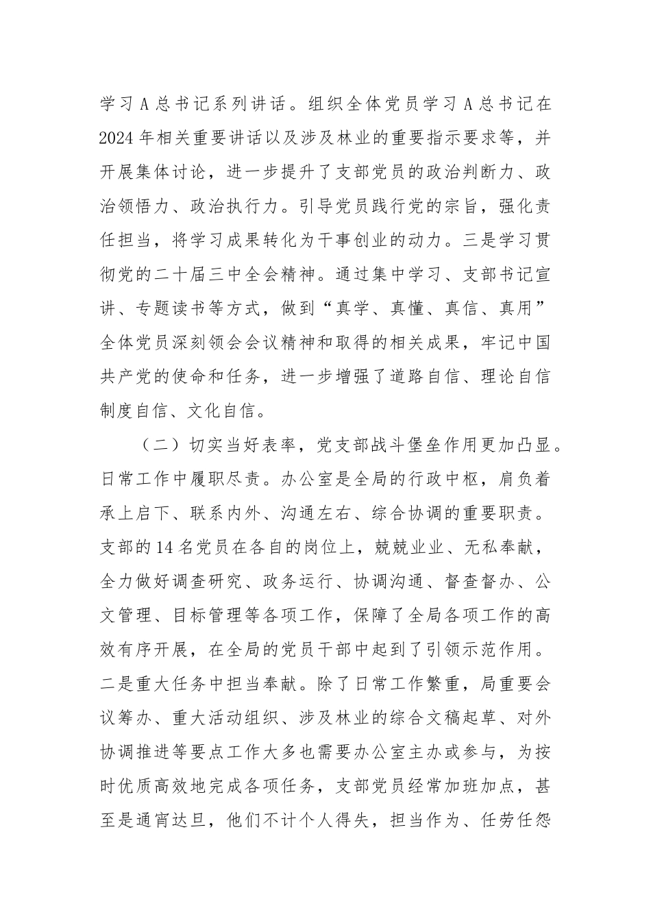 党支部党建工作总结（2024）_第2页