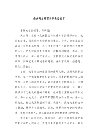 企业副总经理任职表态发言