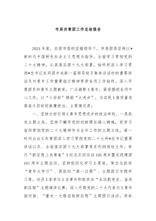 市局共青团工作总结报告