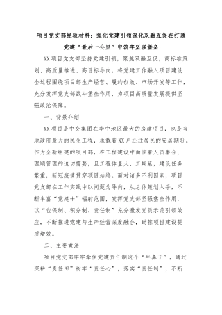 项目党支部经验材料：强化党建引领深化双融互促在打通党建“最后一公里”中筑牢坚强堡垒