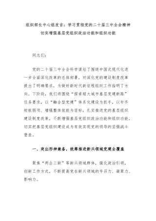 组织部长中心组发言：学习贯彻党的二十届三中全会精神切实增强基层党组织政治功能和组织功能
