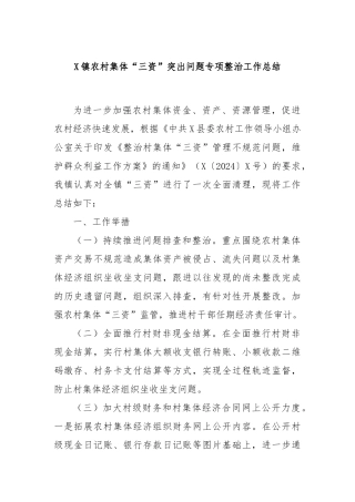 X镇农村集体“三资”突出问题专项整治工作总结