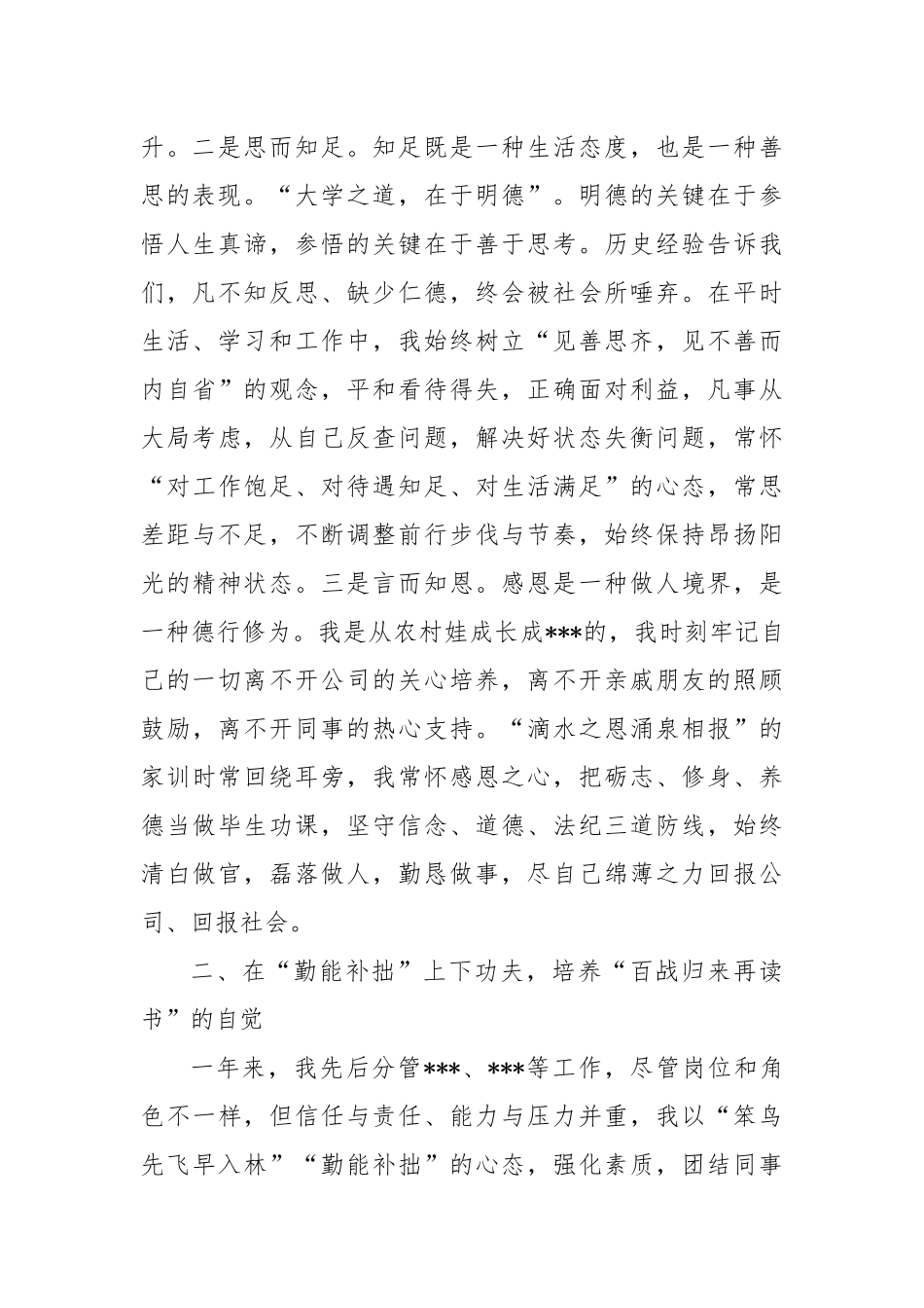 集团公司个人年终述职报告_第2页