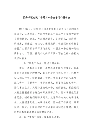 团委书记交流二十届三中全会学习心得体会