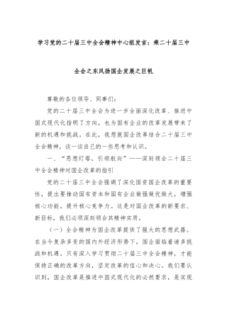 学习党的二十届三中全会精神中心组发言：乘二十届三中全会之东风扬国企发展之巨帆