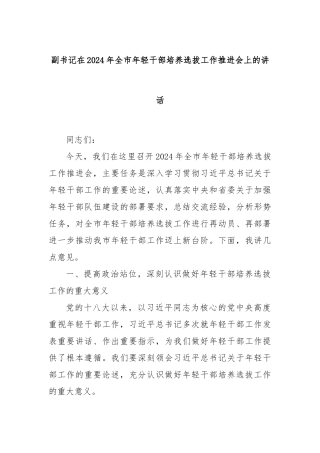 副书记在2024年全市年轻干部培养选拔工作推进会上的讲话