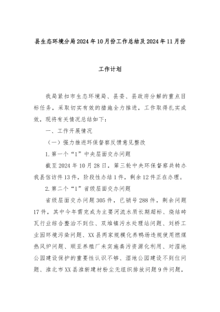 县生态环境分局2024年10月份工作总结及2024年11月份工作计划