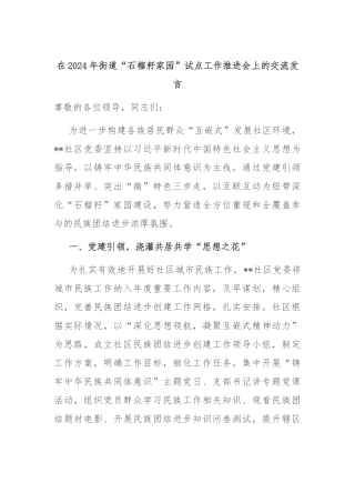 在2024年街道“石榴籽家园”试点工作推进会上的交流发言