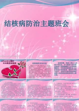 结核病防治主题班会