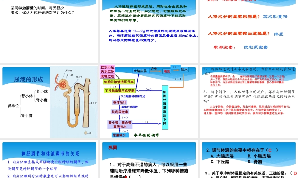 神经调节与体液调节的关系