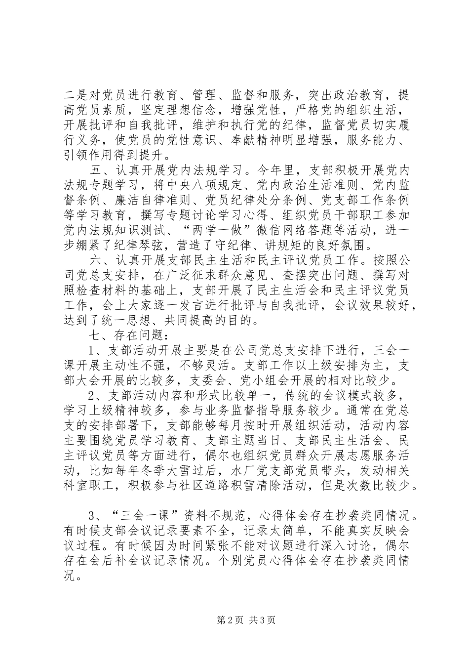 水厂支部工作总结_第2页