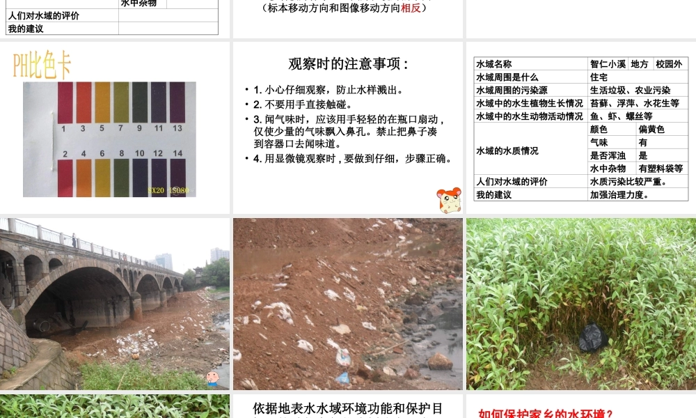 考察家乡的自然水域 