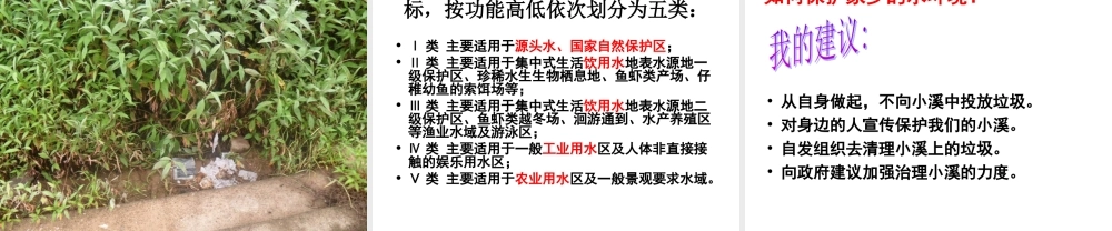 考察家乡的自然水域 