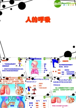 七年级生物下册：第3章人体的呼吸（复习课件）人教版